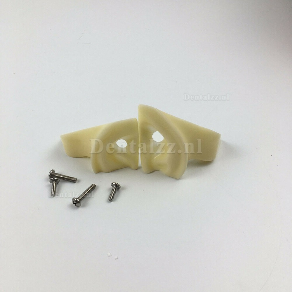 Tandheelkundige Praktijk Model Oefenpop Hoofd Phantom Hoofd Typodont Compatibel met Nissin Kilgore / Frasaco